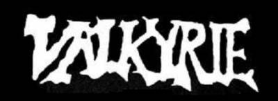 logo Valkyrie (USA-2)